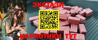 индика Гатчина